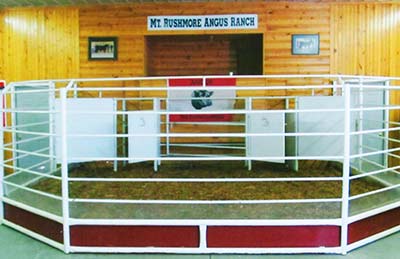 Mt. Rushmore Angus Ranch Sale Pen